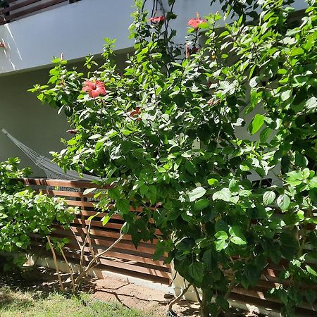 Casa Betti Villa Jijoca de Jericoacoara Kültér fotó