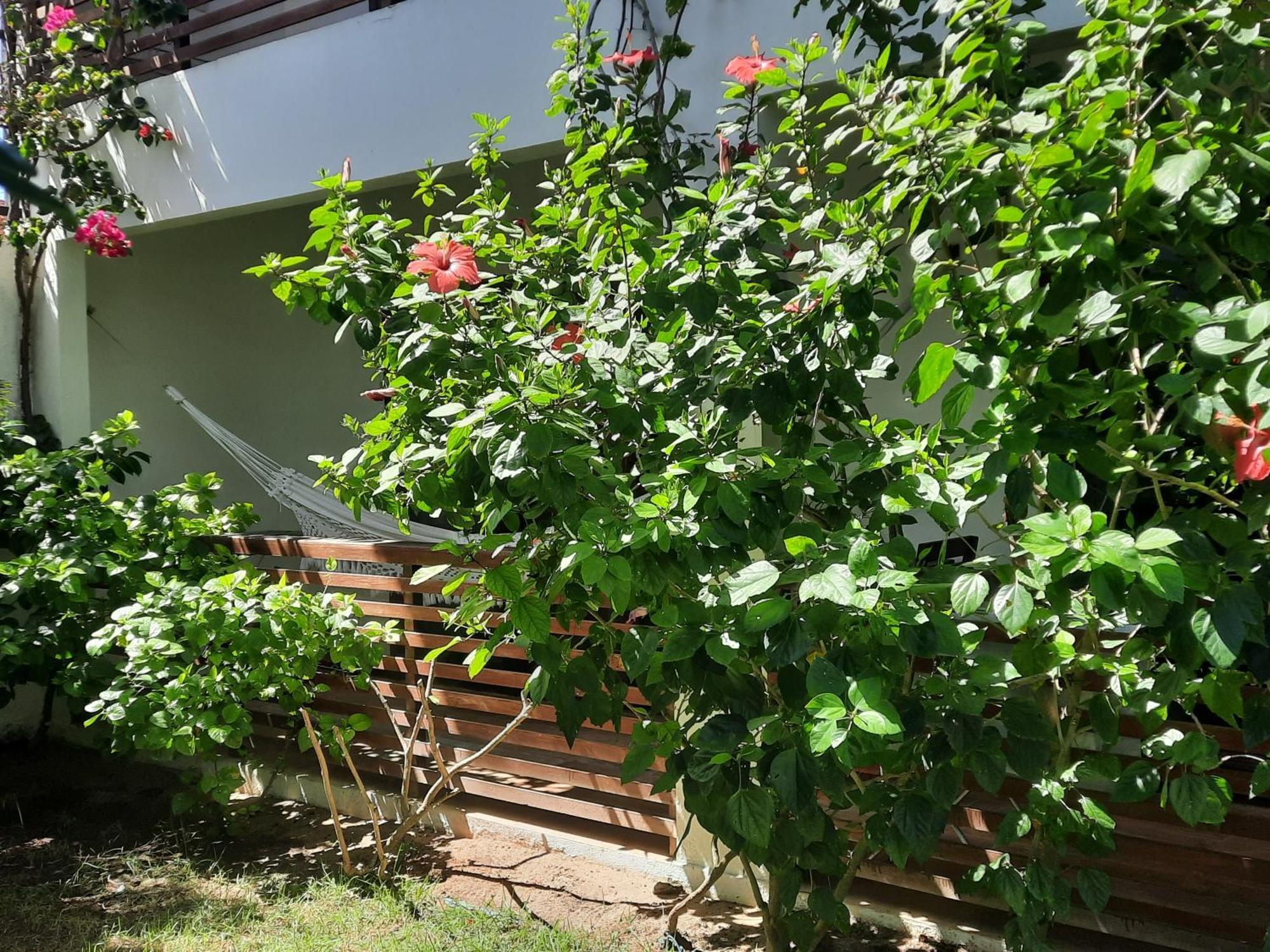 Casa Betti Villa Jijoca de Jericoacoara Kültér fotó